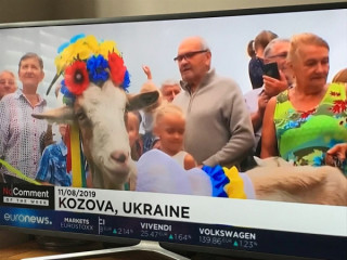 68725418_2322925781077845_1129255624920530944_n