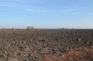 69404362_2545237838872510_7599997436894904320_o