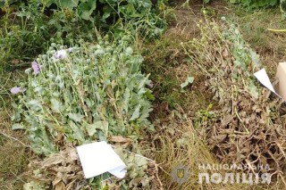 WhatsApp-Image-2019-07-24-at-11.23.40(1)