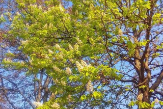 e0f193ed636366cb4590fae476317c97_XL