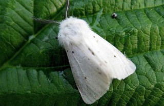 4b98772656737d0adf85e535de0364c8