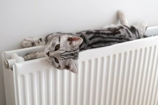 wr-1200.sh-18-1024x683