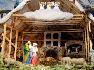 1026041-800x600-Shopka3