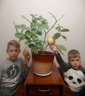 79775778_508369676434376_6257297416425308160_o