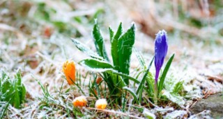 1522123356_v-buryatii-zavtra-sohranitsya-um