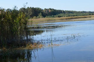 91123510_3011696752226614_6653819976991899648_o