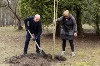 visadgennya-derev-v-parku-nats_vidrodgennya-20-03-2020