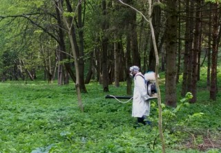 akaritsidni-zahodi-park-topilche-traven-2020