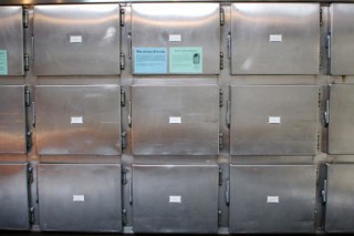 morg-ternopil-13-05-2020