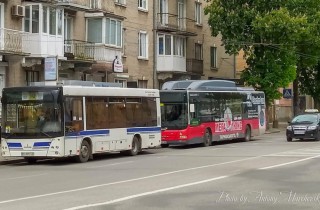 102726026-1551427808368735-2319705521559982129-o