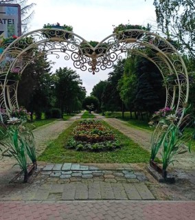 103111965-1537802316403760-2356418874949783063-n