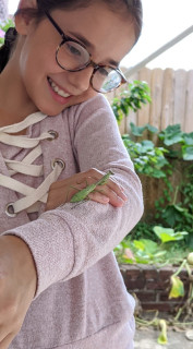 11917924710318070572749264491349727962656111o_5f5f2e0de367c