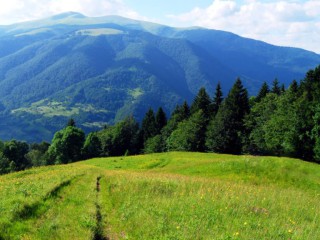 a8dfd4877bc03c8aea63075546f62143_artek-karpaty_ver1_min-1024x576-768-576-c-90