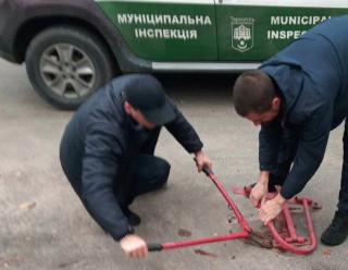 demontag-na-vul_-lesi-ukrainki-13-govtnya-2020-roku