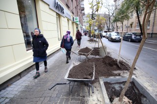 katalpi-ternopil-14-10-2020-1