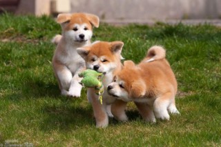 19002817_2-e1570956435962