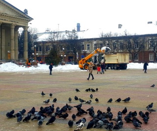 151779014-424633085417833-3691420072319940208-n2021