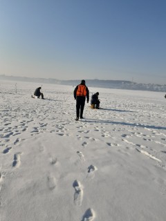 15304381818915823009942174066261801922444204o_60376fd621b54