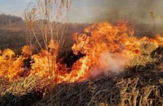 _1586346869_613x322.02460202605_3_0