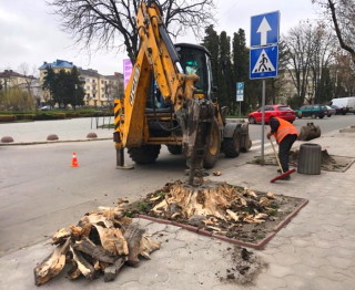 IMG-20210419-WA0006-scaled