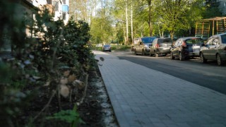 P1100657_MOV-snapshot-00_03-_2021_05_11-09_55_44_