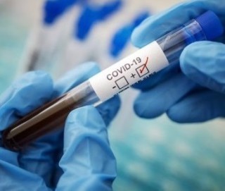 60eae9ec7f15e-kovid-15_07_2021