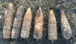 244632037_2070657363073773_6803433152450850362_n