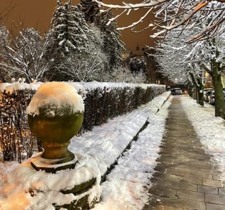 272273234-477612930401375-1465019381657721984-n